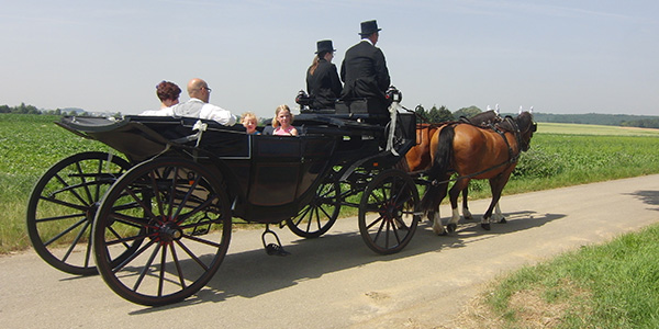 Kutschfahrt, Kutsche, Pferd, Hochzeit