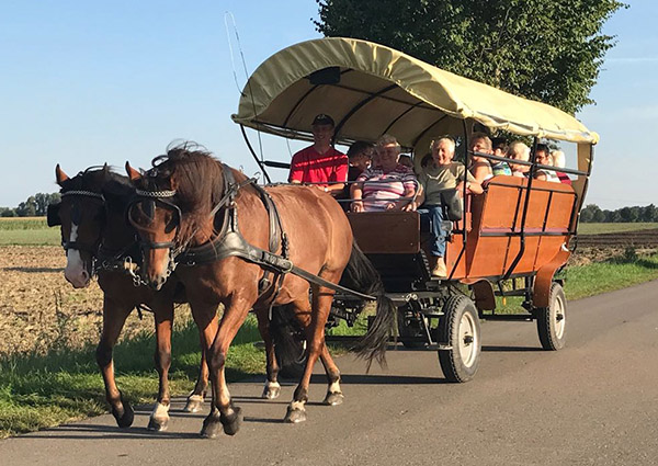 Kutschfahrt, Kutsche, Pferd, Planwagen